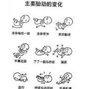 怀孕期间孩子缺氧会不会导致胎儿脑瘫那,孕早期胎儿会缺氧吗?