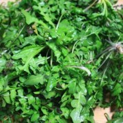 怀孕的女性孕期可以吃荠荠菜包饺子吗,孕期可以吃野菜吗?