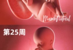 34周胎儿在肚子里是什么样子的呢,胎儿肚子偏大怎么回事