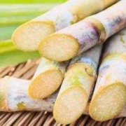 怀孕能不能吃甘蔗,孕期喜欢吃甘蔗好不好