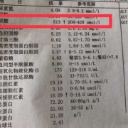 孕期尿酸高（孕期尿酸高）