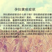 孕期黄疸（孕期黄疸的症状表现）