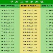 胎儿fgr（胎儿fgr是什么意思）