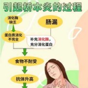 桥本对胎儿的影响（桥本对胎儿的影响）