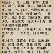 孕妇能吃什么药材,关于孕期用药的原则下列说法不正确的是