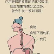 胃酸过多导致孕妇总烧心，该怎么快速缓解呀,孕期烧心吃什么能缓解一下