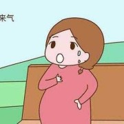 早孕期气短（早孕期气短喘不上气）