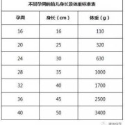 b超体重跟胎儿实际体重相差多少,胎儿体重测量公式