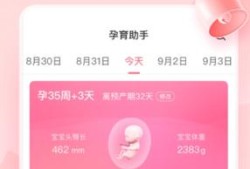 记孕期的软件哪个好用（记载孕期什么软件好）