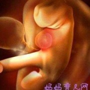 孕4周胎儿图（孕4周胎儿图片）