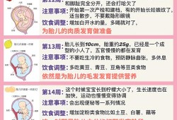 孕周40周胎儿发育标准是多少？孕晚期多吃什么对胎儿有好处,胎儿各周发育标准表图片