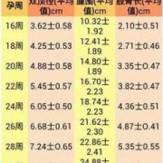孕期宝宝体重计算器（2021体重标准自己算法）