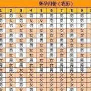 孕妇肚子大小怎么算正常,孕期B型肚是男孩女孩