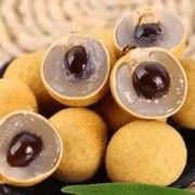 孕妇可不可以吃桂圆,孕期吃桂圆对胎儿有什么影响