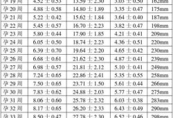 23周胎儿在腹中图片（23周胎儿sd值正常范围）