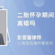 二胎怀孕期间能离婚吗（二胎怀孕期间能离婚吗）