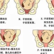 胎儿是怎样通过产道出生的,胎儿出产道的过程