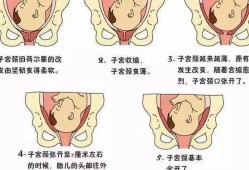 胎儿是怎样通过产道出生的,胎儿出产道的过程