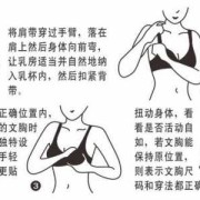 怀孕期间长副乳怎么办（怀孕期间长副乳怎么办）