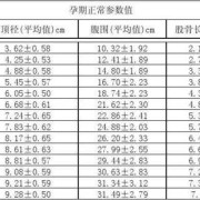 38周胎儿腹围标准（38周胎儿腹围标准在什么范围）
