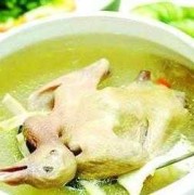 孕期可以吃乳鸽吗（孕期可以吃乳鸽吗有营养吗）