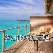 备孕期喝了一口红酒对胎儿要紧吗,备孕期间喝红酒有影响吗