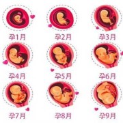 孩子是怎么孕育出来的,胎儿是怎么来的视频