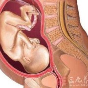 孕7个月胎儿多重（孕7个月胎儿多重正常）