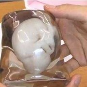 3岁小孩最佳礼物排名,3d打印胎儿模型