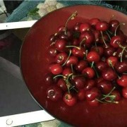 孕妇能吃什么水果,孕期能吃什么水果不能吃什么水果