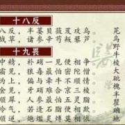 孕期口诀（孕期口诀）