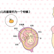 二月龄宝宝指多大,二月胎儿图片大全