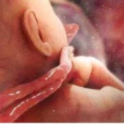 胎死腹中的词语解释,胎儿为什么会死在腹中对胎儿影响