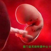 怀孕胎儿聋（怀孕胎儿聋哑能发现吗?）