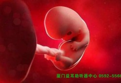 怀孕胎儿聋（怀孕胎儿聋哑能发现吗?）