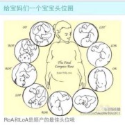 32周头位，后期还会变动吗,32周胎儿头位是什么意思