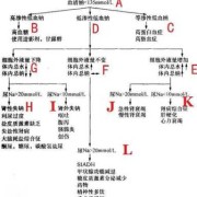 怀孕期间钠低（怀孕期间钠低怎么办）