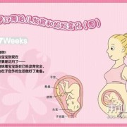 三十七周胎儿发育情况（孕37周头位是什么意思）
