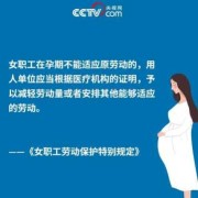员工孕期规定（关于员工怀孕劳动法）