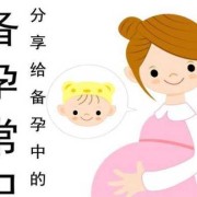 备孕期是什么意思（可以备孕啥意思）