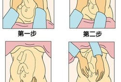 胎儿呈枕左前位是什么意,右枕前位胎儿图片