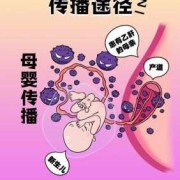 乙肝会传染给胎儿吗（母体有乙肝会传染给胎儿吗）
