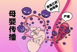 乙肝会传染给胎儿吗（母体有乙肝会传染给胎儿吗）