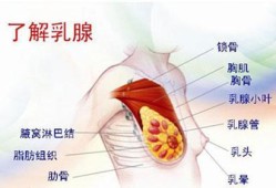 备孕期间乳房胀痛（备孕期间乳房胀痛正常吗）