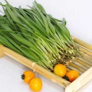 孕期可以吃韭菜吗（坐月子可以吃的蔬菜有哪些，坐月子吃哪些食物会引起回奶）