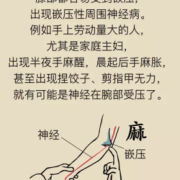 孕期脚麻手麻（孕期脚麻手麻是什么原因）