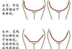 什么叫区分男女,孕期怎么分辨男女宝宝