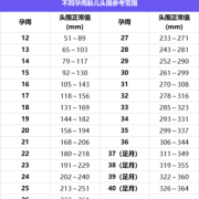 32周胎儿发育标准（32周胎儿发育标准数据）