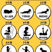 8月宝宝如何早教及发育指标,8月胎儿姿势图片