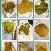 胎儿成形是几个月（宝宝什么时候拉成型的便便）